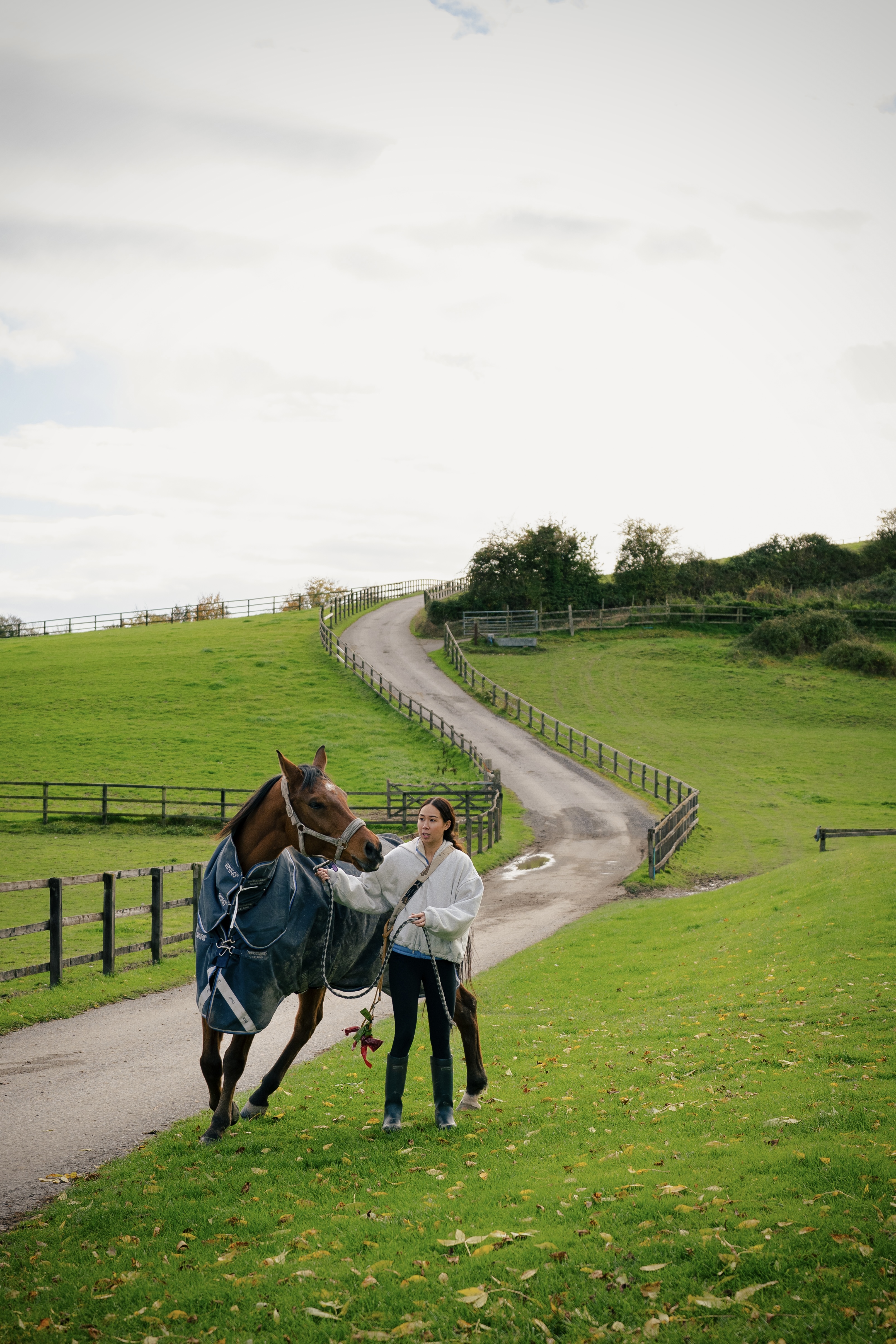 Twyford Vineyard Image